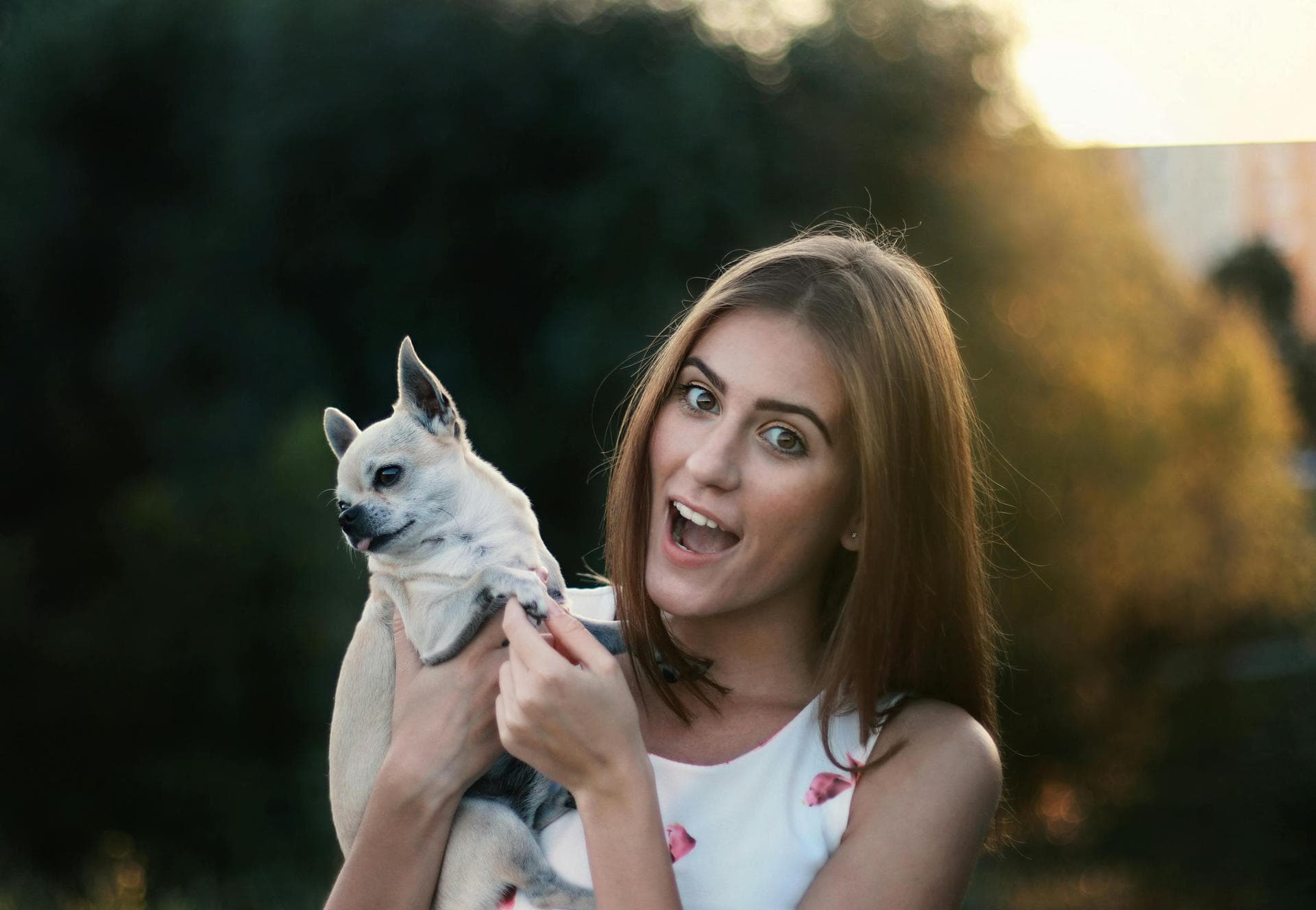 Rabbit Spay Castrate Neutering Prices in Nottingham