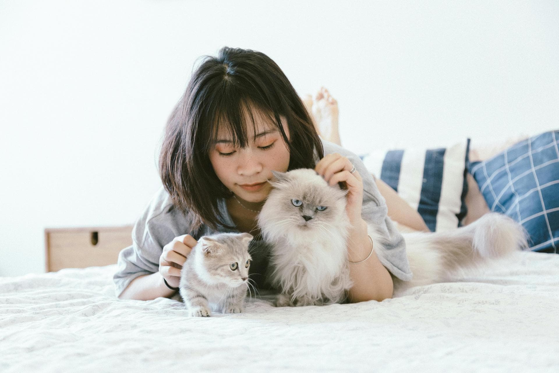 Dog Dental Prices in Nottingham